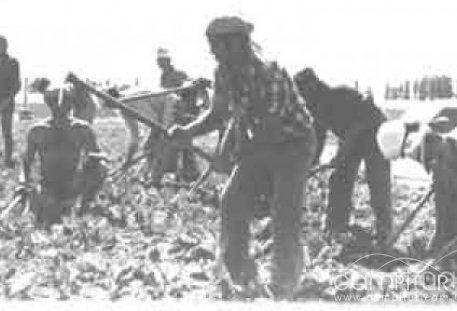 Ruinas del ayer, homenaje a aquellos que desempeñaron labores de antaño 